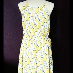 Stitch Fix Lemon Summer Sun Dress